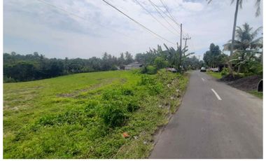 Dijual Tanah Murah di Megati, Tabanan
