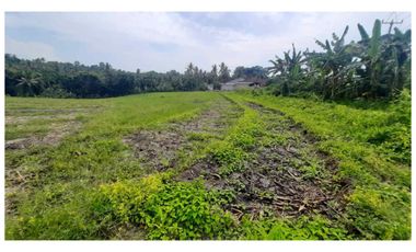 Dijual Tanah Murah di Megati, Tabanan