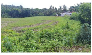 Dijual Tanah Murah di Megati, Tabanan