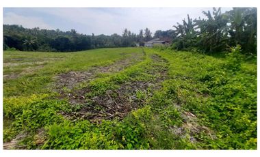 Dijual Tanah Murah di Megati, Tabanan