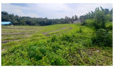 Dijual Tanah Murah di Megati, Tabanan