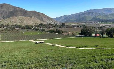 Se Venden Terrenos, Vicuña, Valle del Elqui.
