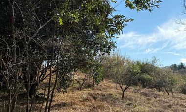 OPORTUNIDAD!! Vendo terreno 2000 m2  a 200 mts del río!