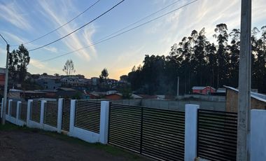 Sitio en venta, sector Rancho Blanco, Tomé.