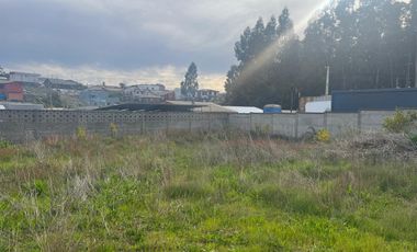 Sitio en venta, sector Rancho Blanco, Tomé.