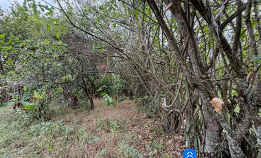 En venta terreno con media agua en Malacatos sector las cucardas