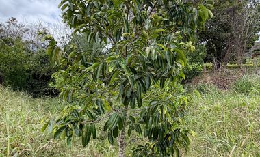 En venta terreno con media agua en Malacatos sector las cucardas
