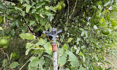 En venta terreno con media agua en Malacatos sector las cucardas