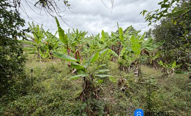 En venta terreno con media agua en Malacatos sector las cucardas