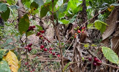 En venta terreno con media agua en Malacatos sector las cucardas