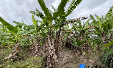 En venta terreno con media agua en Malacatos sector las cucardas