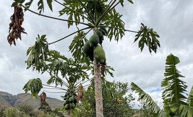 En venta terreno con media agua en Malacatos sector las cucardas