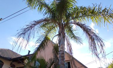 Casa grande en venta en el Centro de Dos de Mayo Misiones
