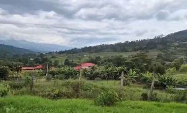 FINCA EN VENTA EN SUBIA, CUNDINAMARCA -942 M2 $500.000.000