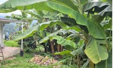 FINCA EN VENTA EN SUBIA, CUNDINAMARCA -942 M2 $500.000.000