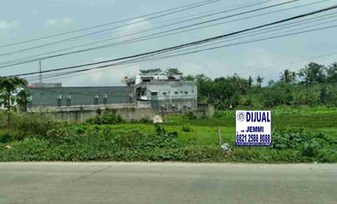 Dijual Tanah Rangkasbitung Pinggir Jalan Raya Murah