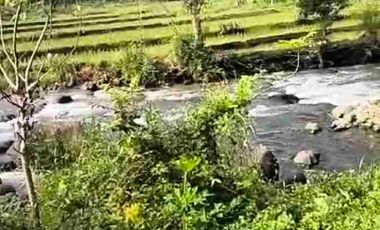 JUAL MURAH TANAH KEBUN DURIAN PRODUKTIF  VIEW INDAH TEPI SUNGAI WISATA PEKALONGAN