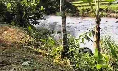 JUAL MURAH TANAH KEBUN DURIAN PRODUKTIF  VIEW INDAH TEPI SUNGAI WISATA PEKALONGAN