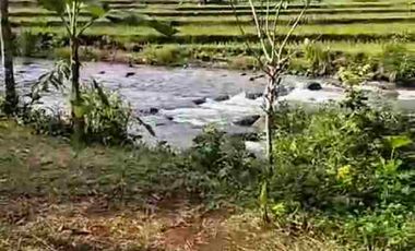 JUAL MURAH TANAH KEBUN DURIAN PRODUKTIF  VIEW INDAH TEPI SUNGAI WISATA PEKALONGAN
