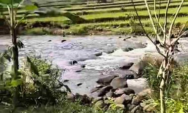 JUAL MURAH TANAH KEBUN DURIAN PRODUKTIF  VIEW INDAH TEPI SUNGAI WISATA PEKALONGAN