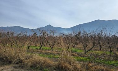 Parcela en Lo Miranda