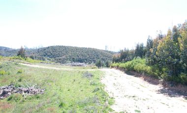 Parcelas, Tomé, sector Nachur.