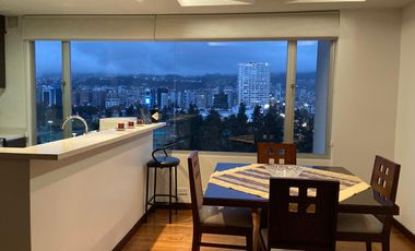 Suite amoblada sector la carolina con 65m2 espectacular vista