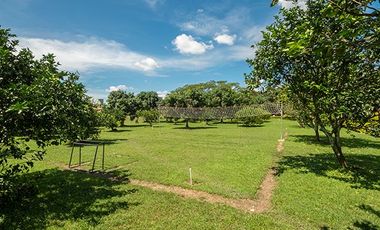 ALQUILER DE FINCA EN PALMIRA VALLE FINCA LAS PALMAS RESERVAS AL3003480004 LLAMANOS YA.