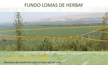 VENTA DE LOTES EN CONDOMINIO ECOLOGIO PRIVADO DE CAMPO EN EL VALLE DE CAÑETE