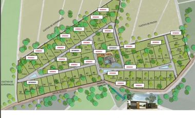 VENTA DE LOTES EN CONDOMINIO ECOLOGIO PRIVADO DE CAMPO EN EL VALLE DE CAÑETE