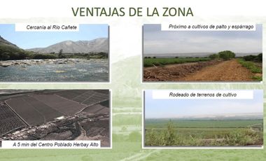 VENTA DE LOTES EN CONDOMINIO ECOLOGIO PRIVADO DE CAMPO EN EL VALLE DE CAÑETE