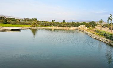 VENTA DE LOTES EN CONDOMINIO ECOLOGIO PRIVADO DE CAMPO EN EL VALLE DE CAÑETE