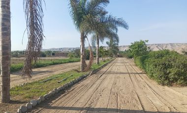VENTA DE LOTES EN CONDOMINIO ECOLOGIO PRIVADO DE CAMPO EN EL VALLE DE CAÑETE