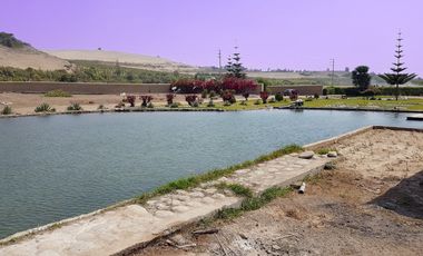 VENTA DE LOTES EN CONDOMINIO ECOLOGIO PRIVADO DE CAMPO EN EL VALLE DE CAÑETE