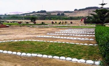 VENTA DE LOTES EN CONDOMINIO ECOLOGIO PRIVADO DE CAMPO EN EL VALLE DE CAÑETE