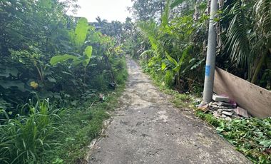 Cocok untuk Villa!! Dijual Tanah Lokasi Pariwisata   Terletak di Jl. Blimbing Sari , Pecatu, Kuta Selatan
