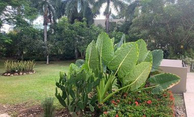 ARRIENDO FINCA LA ESTRELLA EN IBAGUE