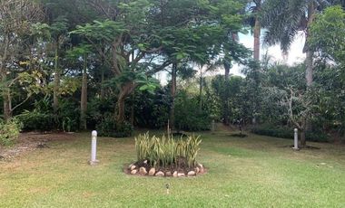 ARRIENDO FINCA LA ESTRELLA EN IBAGUE