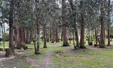 REMODELADA   CAMPESTRE