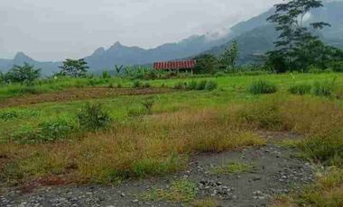 Di Jual tanah Parung panjang Raya