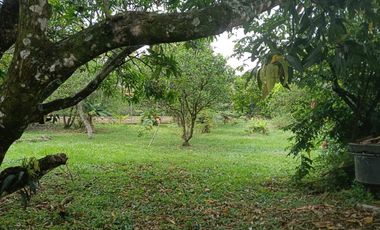 VENDO CASA  CONDOMINIO SAMANES DE LA MORADA, JAMUNDÍ.