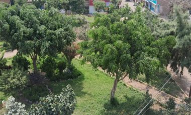 Terreno en Venta en Puente Piedra - Asoc. Viv. El Haras de Chillón