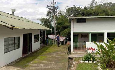 VENDO HERMOSA FINCA CON GALPONES DE POLLO EN SILVANIA
