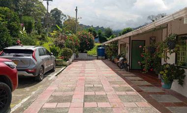 VENDO HERMOSA FINCA CON GALPONES DE POLLO EN SILVANIA