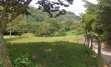 VENDO HERMOSA FINCA CON GALPONES DE POLLO EN SILVANIA