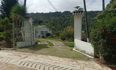 VENDO HERMOSA FINCA CON GALPONES DE POLLO EN SILVANIA