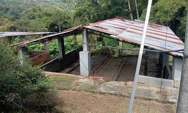 VENDO HERMOSA FINCA CON GALPONES DE POLLO EN SILVANIA