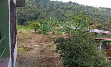 VENDO HERMOSA FINCA CON GALPONES DE POLLO EN SILVANIA