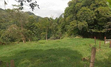 VENDO HERMOSA FINCA CON GALPONES DE POLLO EN SILVANIA