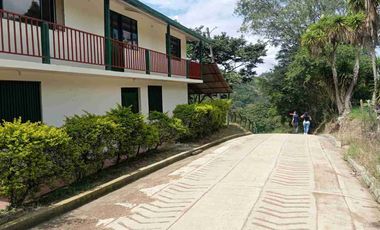 VENDO HERMOSA FINCA CON GALPONES DE POLLO EN SILVANIA